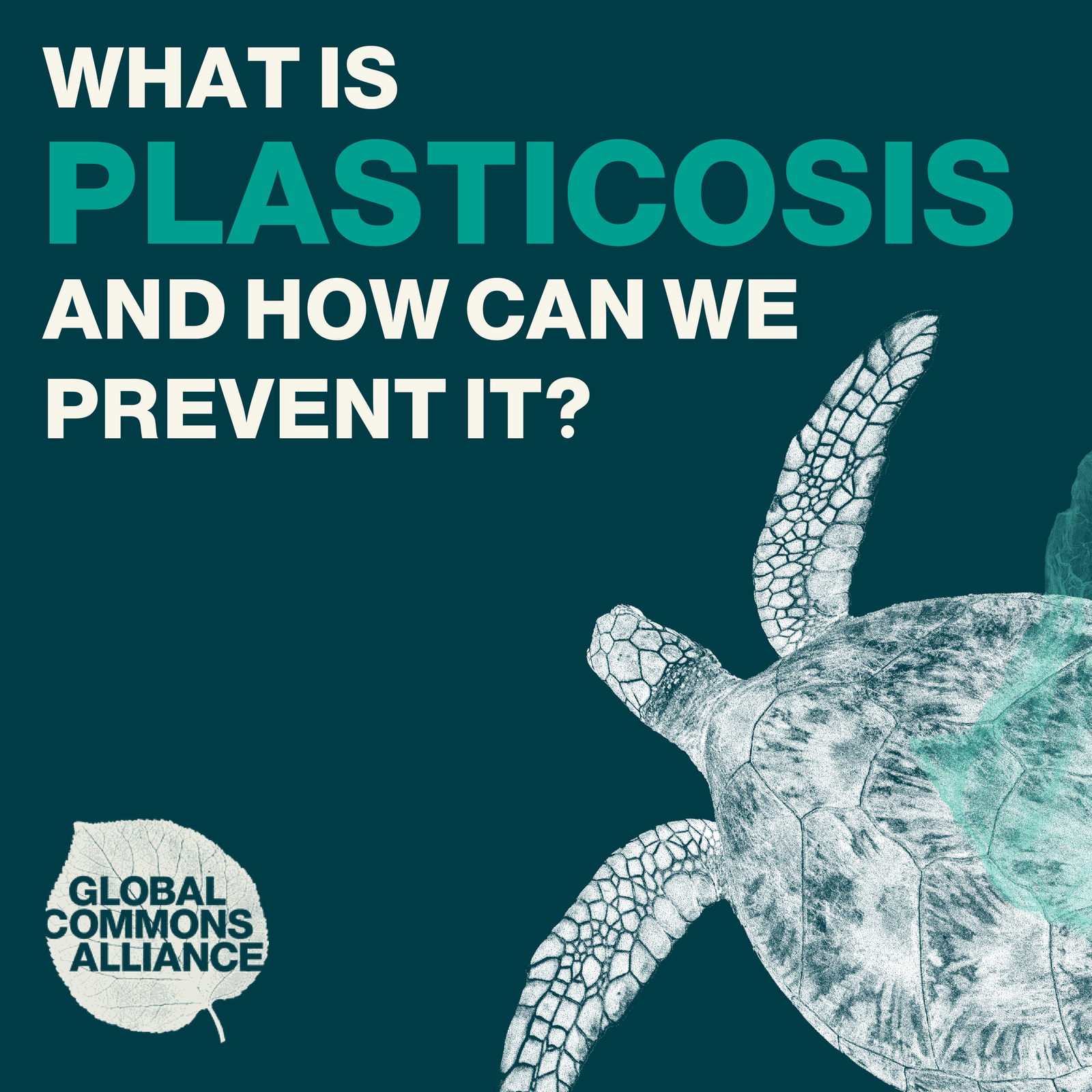 The folded up zine facing the front cover that says Zine of resisting deforestation