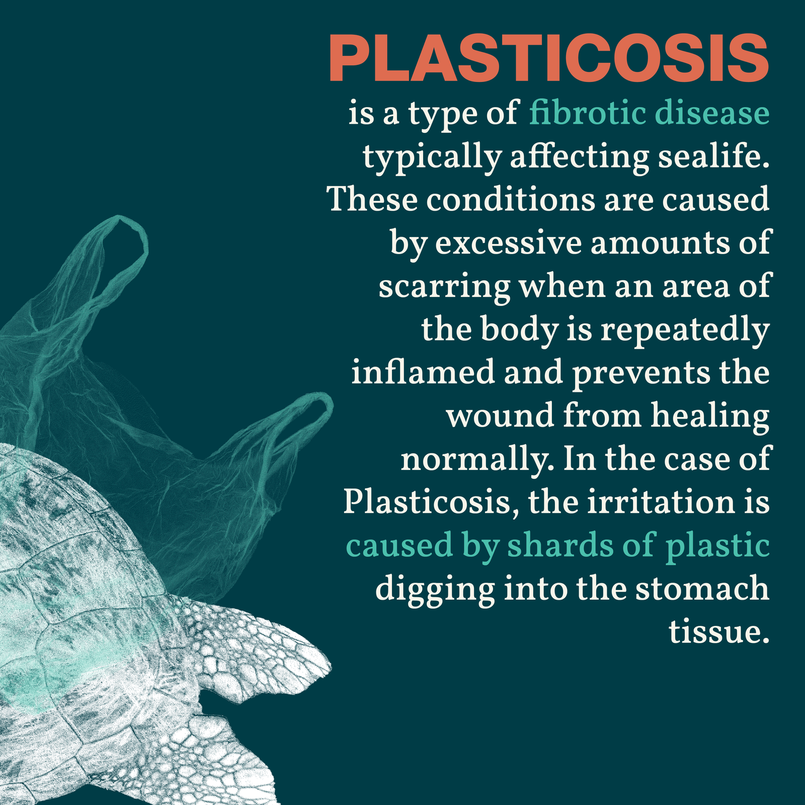 An open zine describing deforestations with dark colors