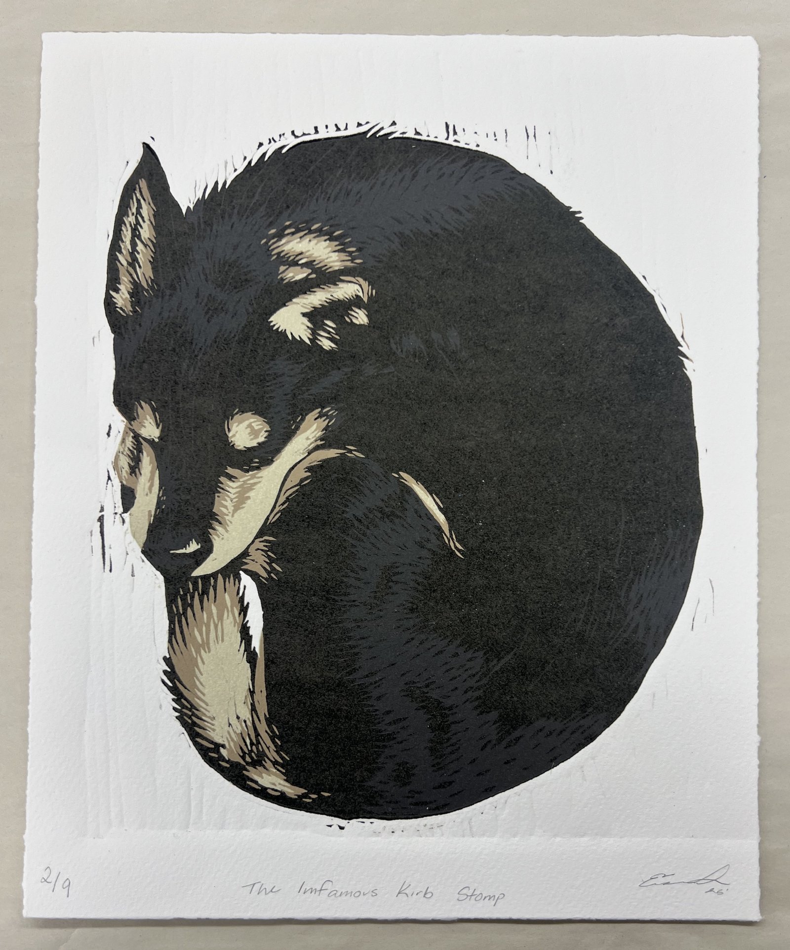 A vinyl and its sleeve laying upright against a bright background